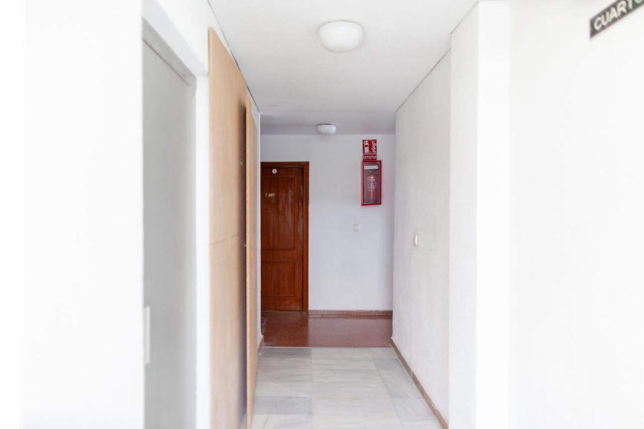 Rosamar Apartament *