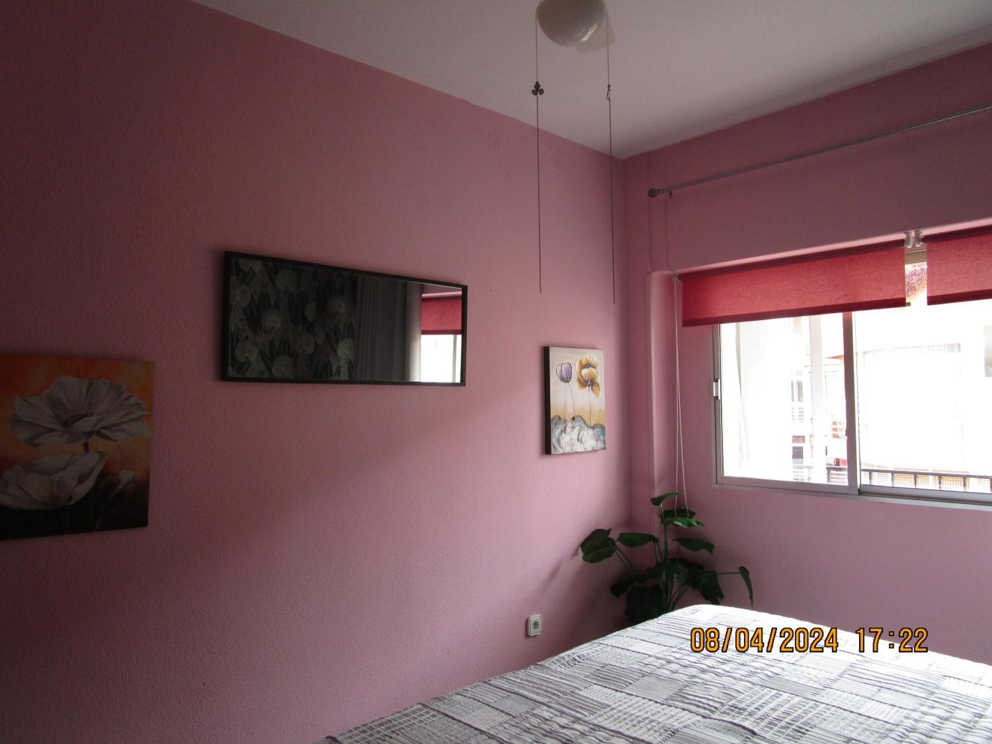 Apartament Rosamar *